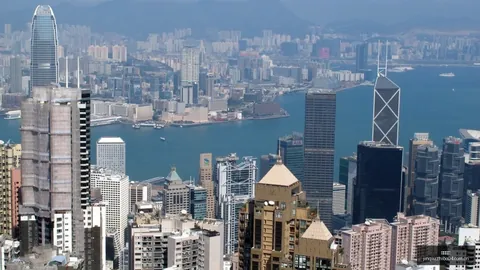 美股暴跌背后：美债收益率持续上涨，美联储加息可能性高，油价回落趋势明显